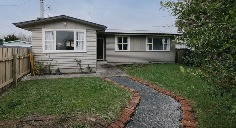  at 25 Mokau Place, Terrace End, Palmerston North