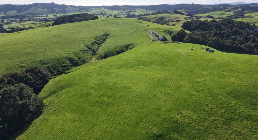  at 256 McIntyre Road, Kerikeri, Far North, Northland
