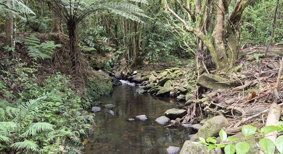  at 47 Darwin Road, Kerikeri, Kerikeri, Far North, Northland