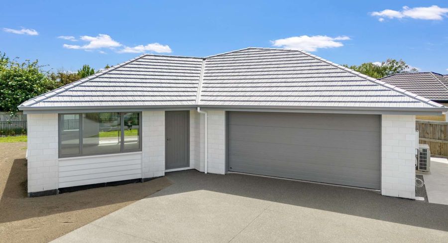  at 38 Ara Drive, Redwoodtown, Blenheim, Marlborough