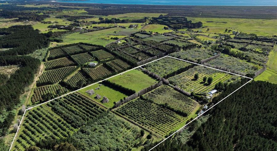  at 101 Turk Valley Road, Waiharara, Far North, Northland