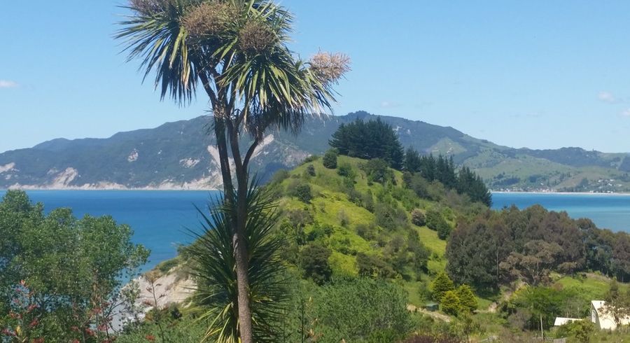  at 0 Waima Road, Tokomaru Bay, Tokomaru Bay