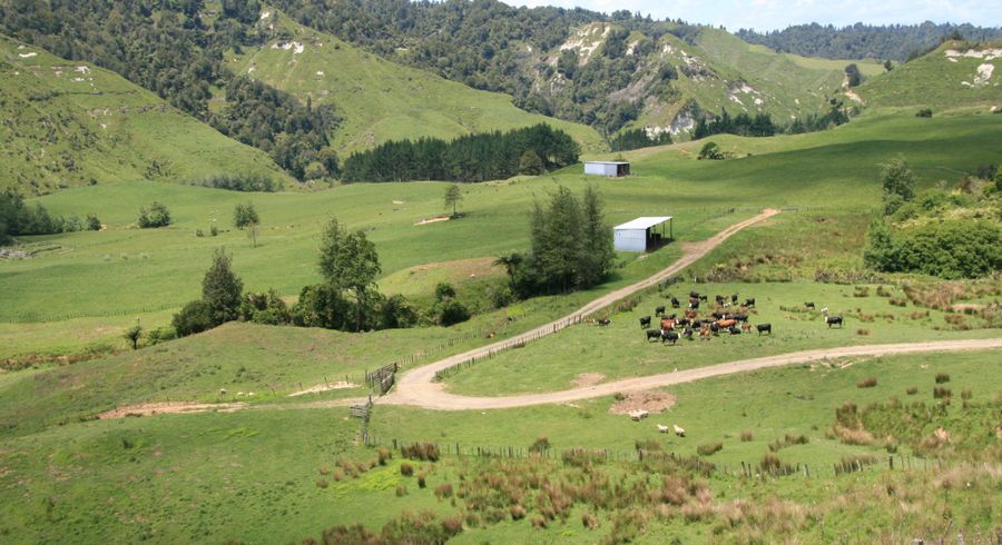  at 1099 Mataro Road, Urenui, New Plymouth, Taranaki