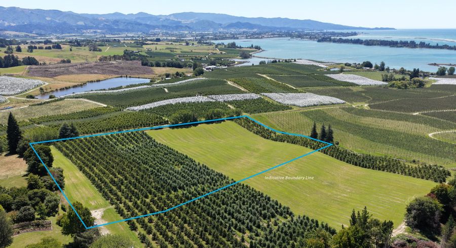  at Lot 1/86 Eden Road, Tasman, Tasman, Nelson / Tasman