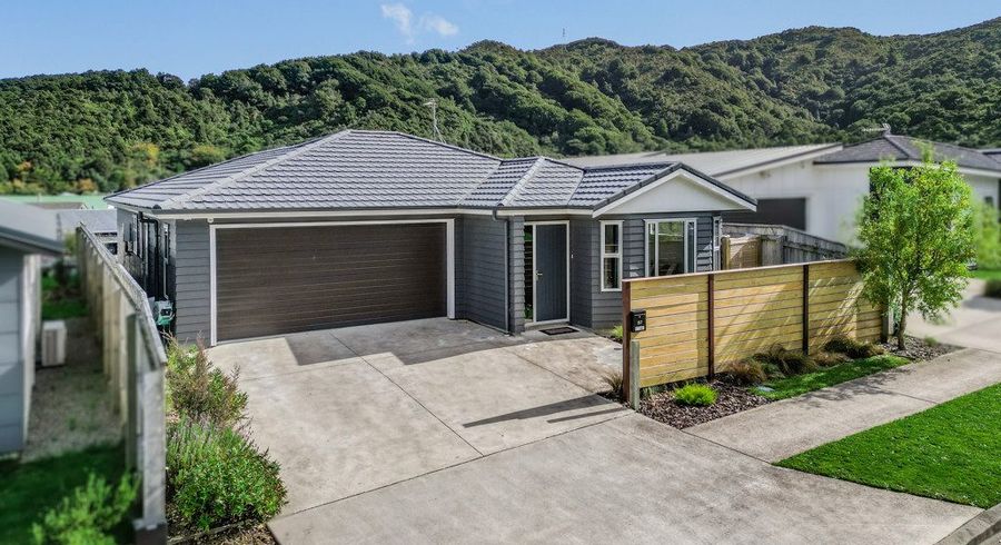  at 87 Meremere Street, Wainuiomata, Lower Hutt