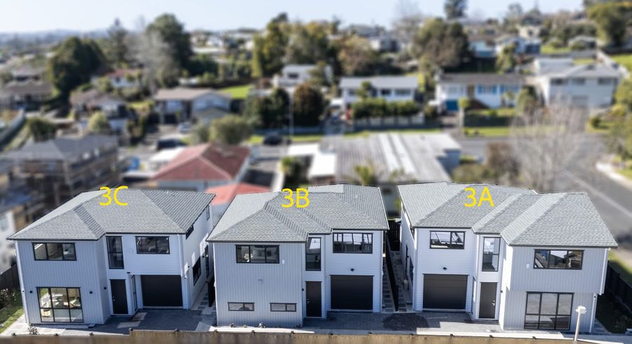  at 3A, 3B, 3C Pendlebury Street, Green Bay, Waitakere City, Auckland