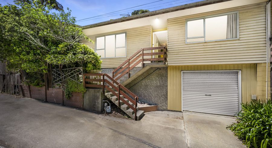  at 457A Ohiro Road, Brooklyn, Wellington