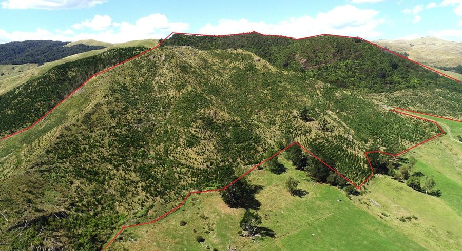  at Wright Road, Te Aroha, Matamata-Piako, Waikato