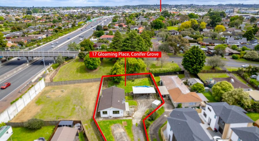  at 17 Gloaming Place, Conifer Grove, Takanini