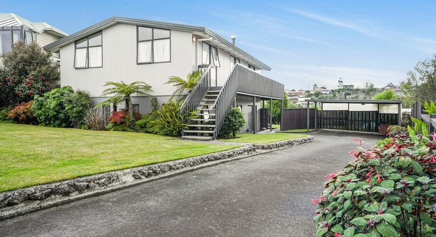  at 14 Vincent Place, Dinsdale, Hamilton