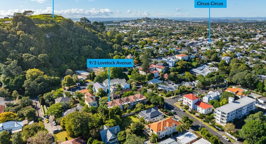  at 9/3 Lovelock Avenue, Mount Eden, Auckland City, Auckland