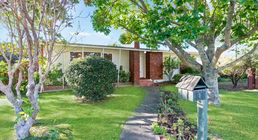  at 3 Byrd Street, Levin, Levin