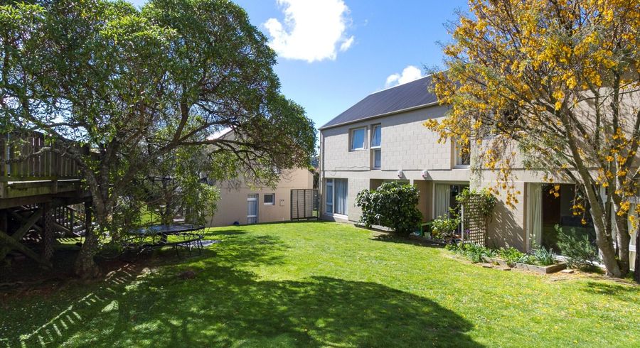  at 316 Mansfield Street, Newtown, Wellington, Wellington