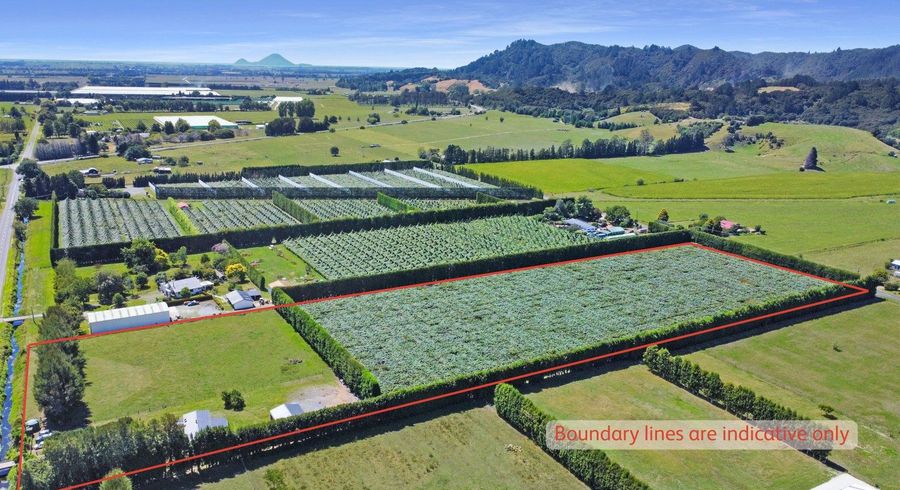  at 59 Macdonald Road, Te Teko, Whakatane, Bay Of Plenty