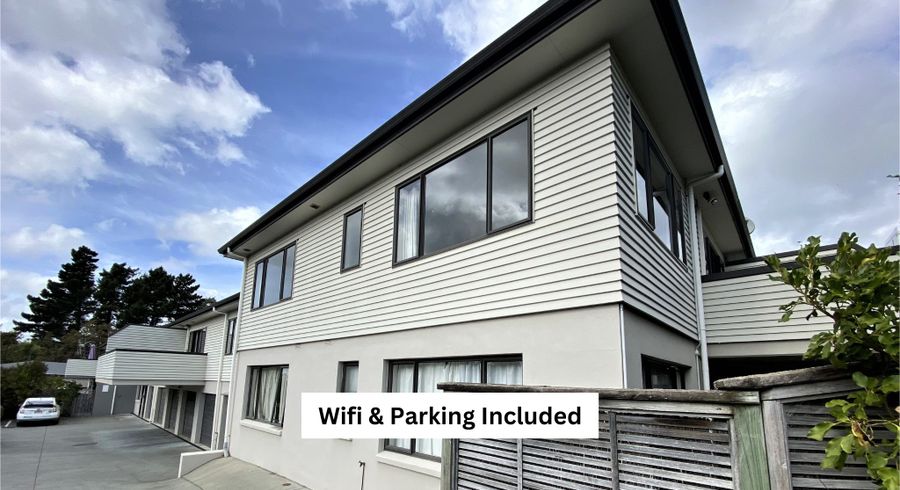  at 11C Horne Street, Hamilton City Central, Hamilton, Waikato
