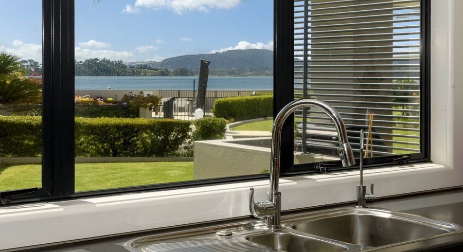  at 1/2 Sixth Avenue, Avenues, Tauranga, Bay Of Plenty