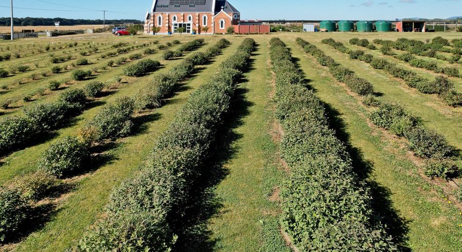  at 1686 Waimate Highway, Makikihi, Waimate, Canterbury