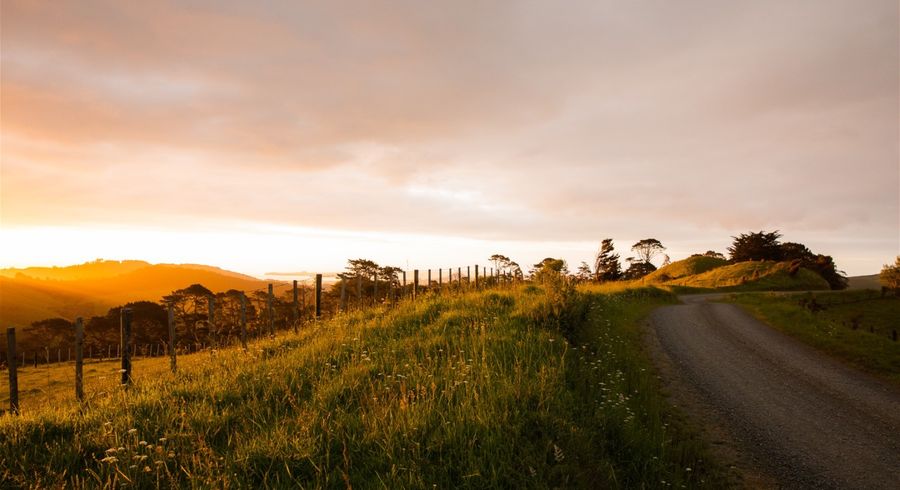  at 307 Dill Road, Kaipara Flats