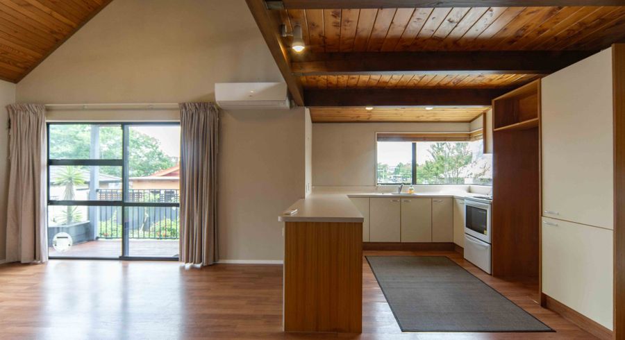  at 19A Palmerston Street, Hamilton City Central, Hamilton, Waikato