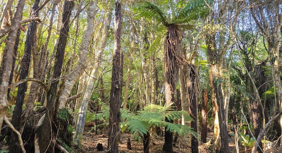  at 7 Rata Street, Stewart Island, Southland, Southland