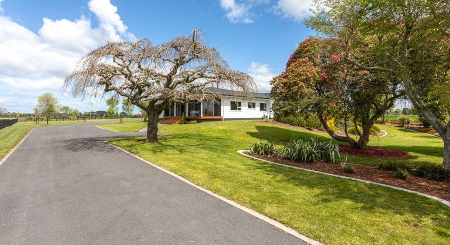  at 173 Station Road, Matamata, Matamata