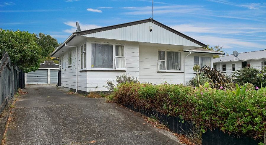  at 123 Ruamahanga Crescent, Terrace End, Palmerston North, Manawatu / Whanganui