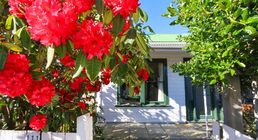  at 111 Macandrew Road, South Dunedin, Dunedin, Otago