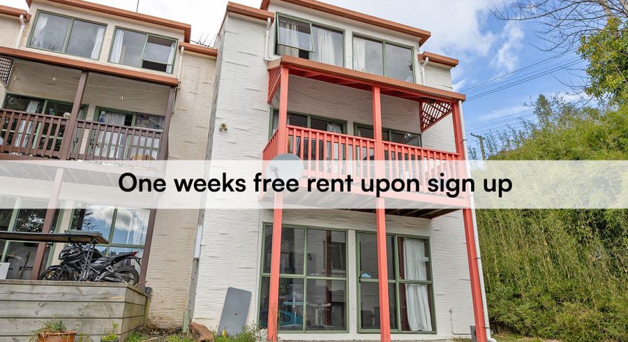  at 8/63 Opoho Road, North East Valley, Dunedin, Otago