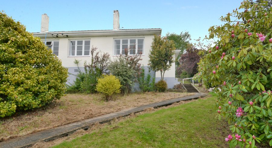  at 17 Prospect Bank, Wakari, Dunedin