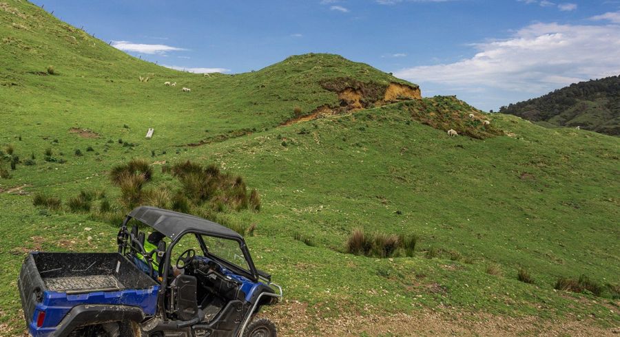  at 284 McCarthy Road, Opotiki, Opotiki, Bay Of Plenty