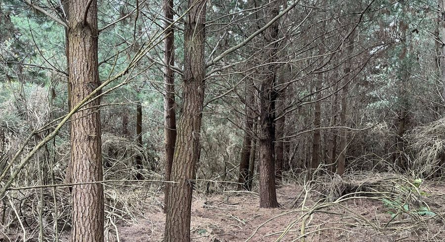  at Breakneck Road, Herbert, Waitaki, Otago