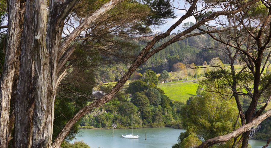  at 78 Blue Heron Rise, Stanmore Bay, Whangaparaoa