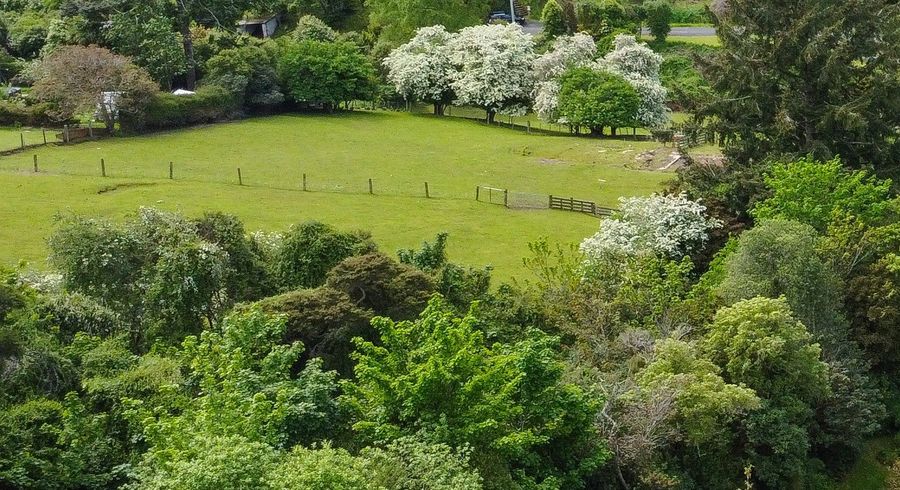  at 44 Crown Street, North East Valley, Dunedin, Otago