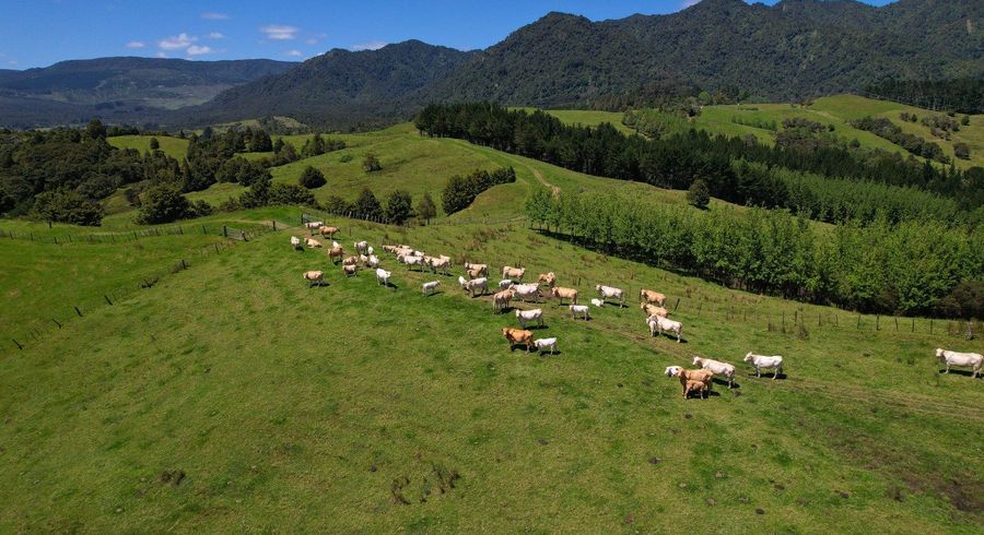  at 2231 State Highway 12, Waima, Far North, Northland