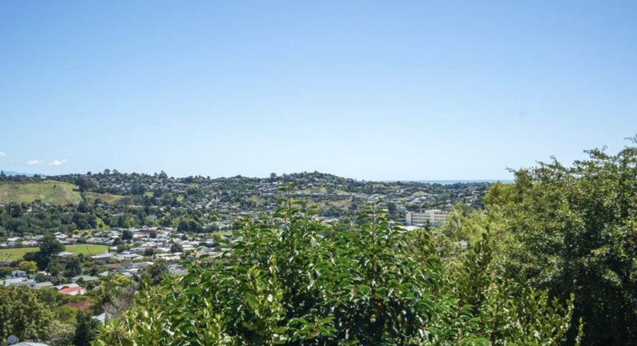  at 2/17a Brunner Street, Nelson South, Nelson, Nelson / Tasman