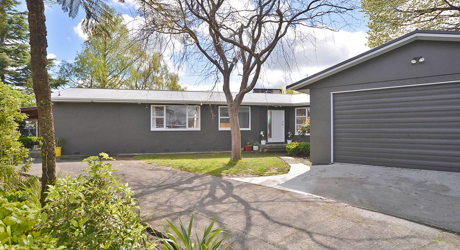  at 9 Patea Place, Terrace End, Palmerston North