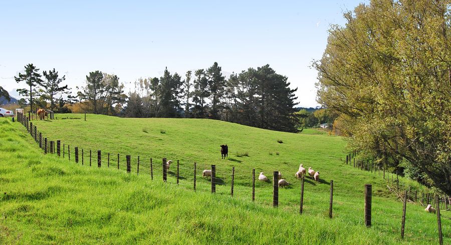  at 25 Lupis Way, Kaiwaka