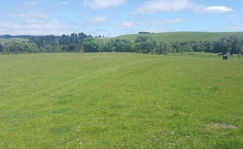  at 179 Mcleods Road, Sefton, Rangiora