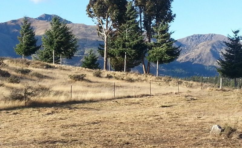  at 48B Nichol Street, Wanaka