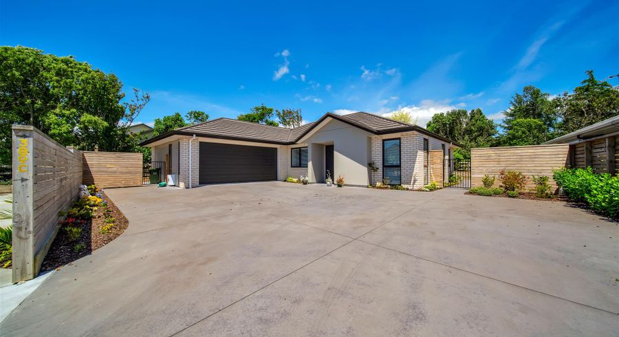  at 389C Frankley Road, Ferndale, New Plymouth