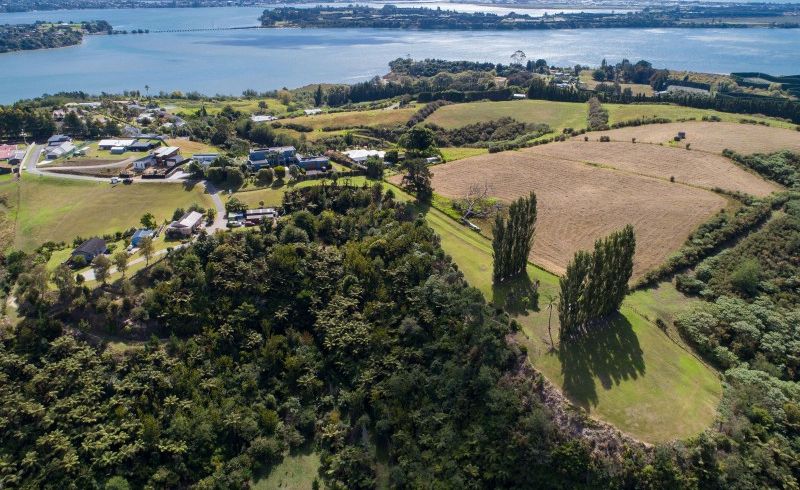  at 31 Eagleview Rise, Welcome Bay, Tauranga