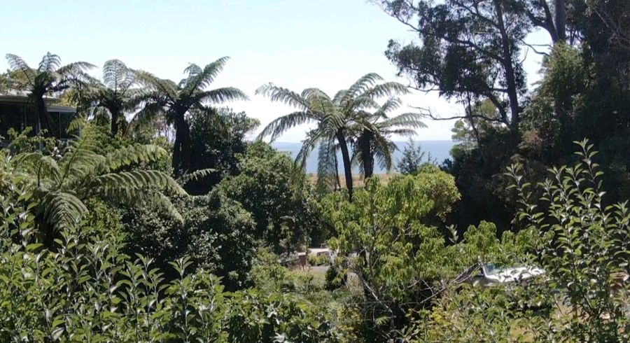  at 14 Gibbs Road, Collingwood