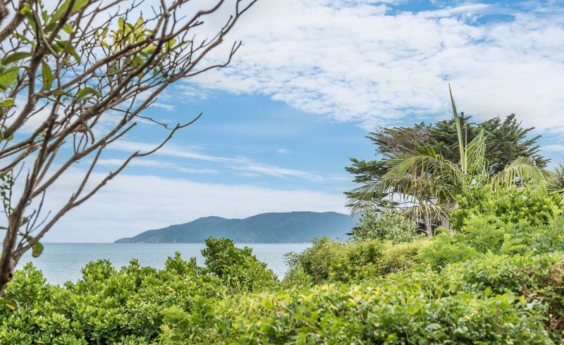  at 20 Tainui Street, Raumati Beach, Paraparaumu