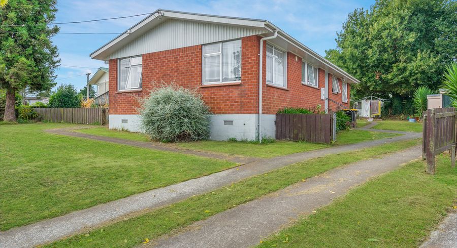  at 19 Young Street, Morrinsville, Morrinsville