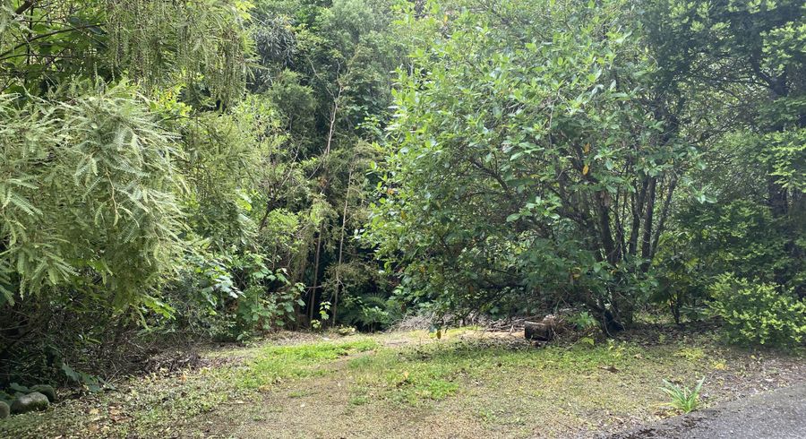  at 75 Elmslie Road, Pinehaven, Upper Hutt