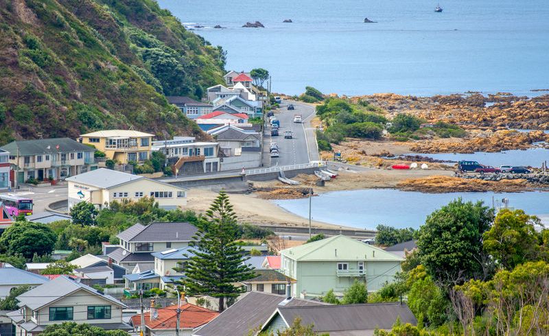  at 20 Liddel Grove, Island Bay, Wellington
