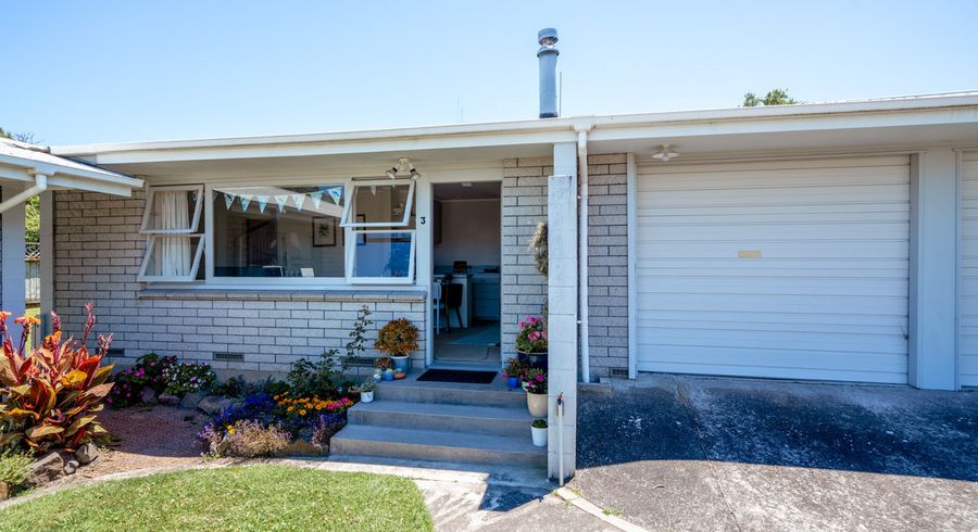  at 3/87 Fraser Street, Tauranga South, Tauranga