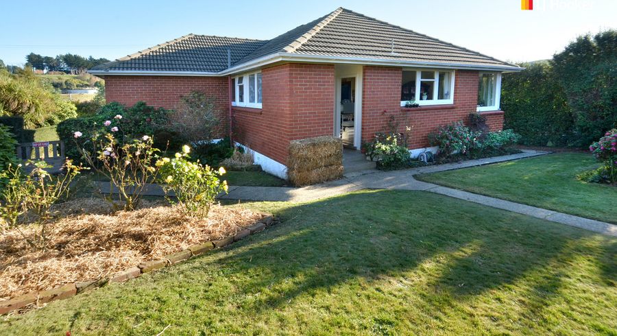  at 113 Caldwell Street, Brockville, Dunedin