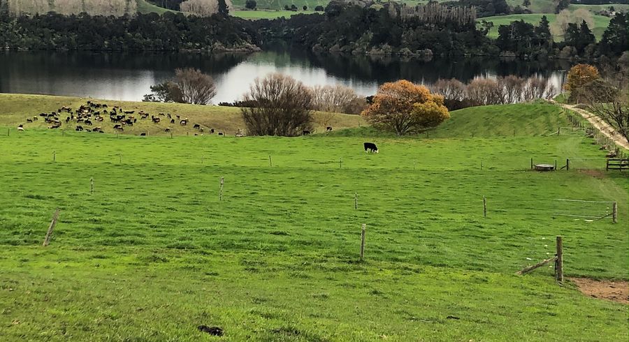  at 728 Lake Arapuni Road, Arapuni