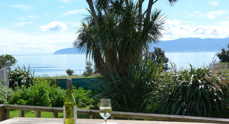 at 17A TE MIHA Crescent, Cape Palliser